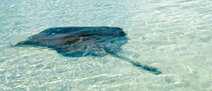 Tour Xelha desde Cancun